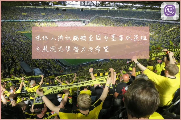 媒体人热议鹈鹕奎因与墨菲双星组合展现无限潜力与希望