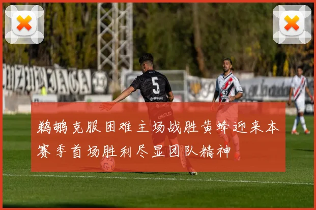 鹈鹕克服困难主场战胜黄蜂迎来本赛季首场胜利尽显团队精神